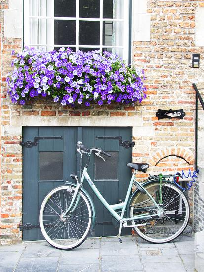 Premium Photographic Print, , large