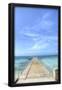 Essential Black