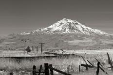 Mt. Shasta II-George Johnson-Photographic Print