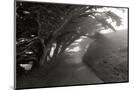 Wood Mount