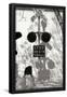 Essential Black