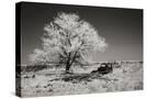 Stretched Canvas