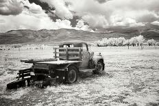 Truck in Field-George Johnson-Photographic Print
