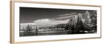 Chelsea Natural