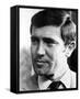 George Lazenby-null-Framed Stretched Canvas