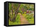 Canvas Black