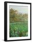 Black Frame