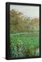 Essential Black