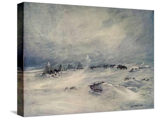 Stretched Canvas Print, , large
