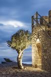 Tainaron Blue Retreat in Mani, Greece. Exterior View of an Alcove in a Stone Wall and a Tree-George Meitner-Stretched Canvas