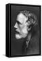 George Meredith, English Novelist and Poet, C1909-Frederick Hollyer-Framed Stretched Canvas