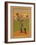 Brown Frame