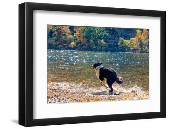 Premium Photographic Print, , large