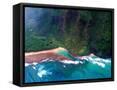 Canvas Black