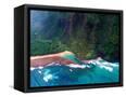Canvas Black