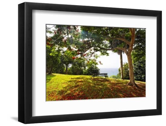 Premium Photographic Print, , large