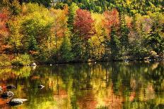 Colorful Foliage Reflection in a Tranquil Lake-George Oze-Photographic Print