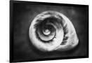 Gramercy Black