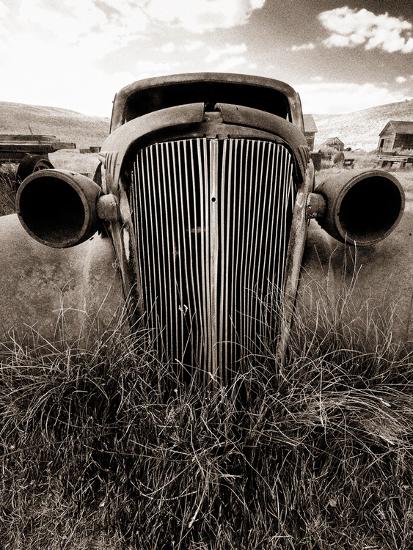 Premium Photographic Print, , large