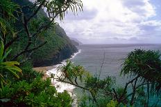 Jungle at the Shore, Costa Rica-George Oze-Photographic Print