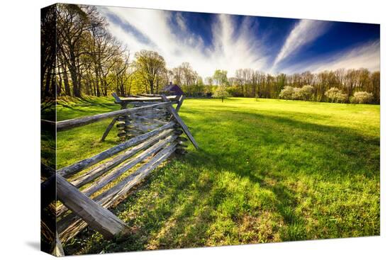 Stretched Canvas Print, , large