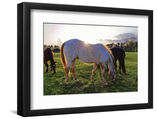 Premium Photographic Print, , large