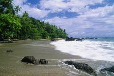 Jungle at the Shore, Costa Rica-George Oze-Photographic Print