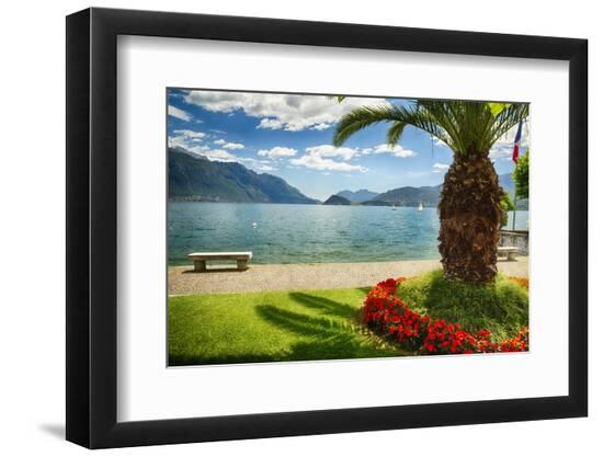 Premium Photographic Print, , large