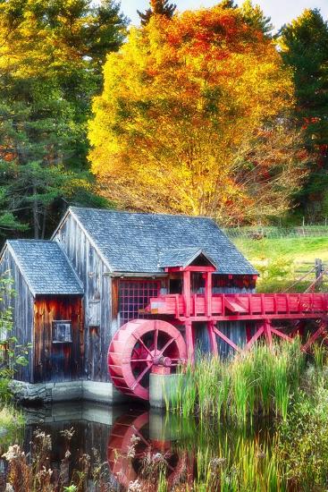Premium Photographic Print, , large