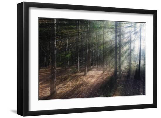 Premium Photographic Print, , large