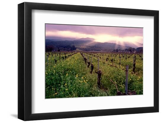 Premium Photographic Print, , large