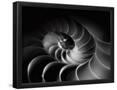 Essential Black