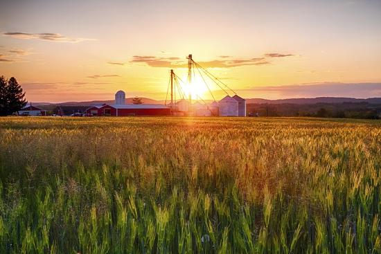 Premium Photographic Print, , large