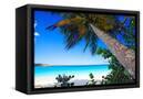 Canvas Black