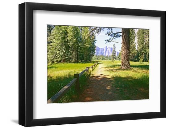 Premium Photographic Print, , large