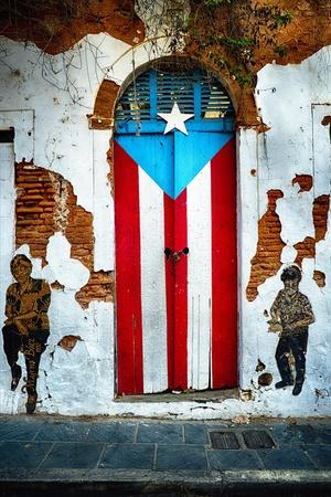 Puerto Rican Flag Door