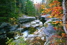 Colorful Trees Along the Swift River New Hampshire-George Oze-Photographic Print