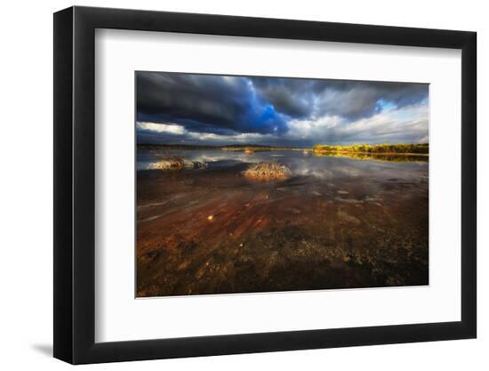Premium Photographic Print, , large