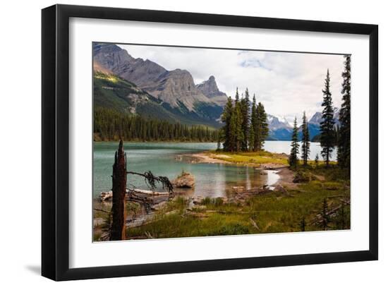Premium Photographic Print, , large