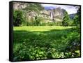 Canvas Black