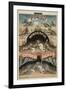 George Pike's Performing Seals-Henry Evanion-Framed Giclee Print