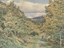 A Road Near Bettws-Y-Coed, 1851 (W/C over Graphite on Paper)-George Price Boyce-Giclee Print