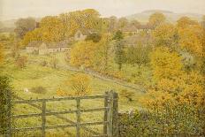 Red Barn at Whitchurch, 1868-George Price Boyce-Giclee Print