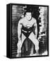 George Reeves-null-Framed Stretched Canvas