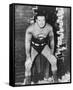 George Reeves-null-Framed Stretched Canvas