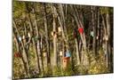 Wood Mount