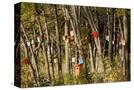 Stretched Canvas
