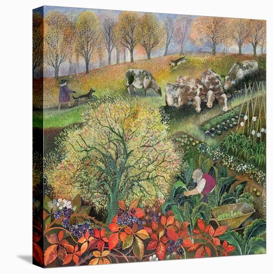 George's Allotment-Lisa Graa Jensen-Stretched Canvas