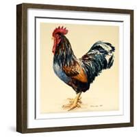 George's Cockerel, 2007-Alison Cooper-Framed Giclee Print