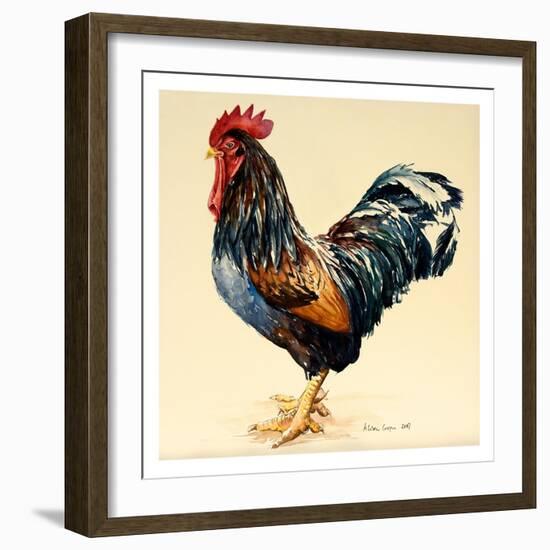 George's Cockerel, 2007-Alison Cooper-Framed Giclee Print